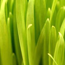 攻击网站在线工具